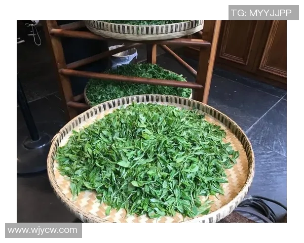 赛后分析:西安羽毛球队与成都羽毛球队的战术意识与表现对比 赛后分析:西安羽毛球队与成都羽毛球队的战术意识与表现对比