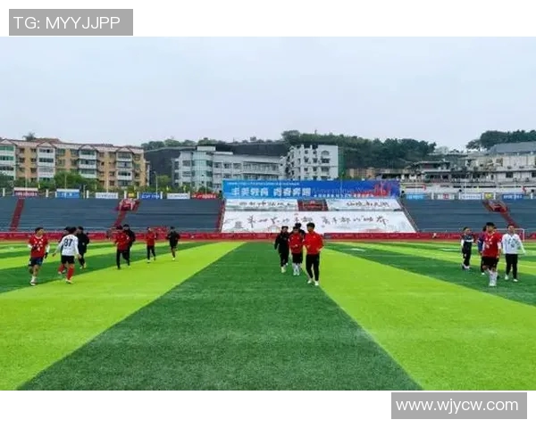 西安乒乓球队在钻石联赛中的耐力表现与战术分析