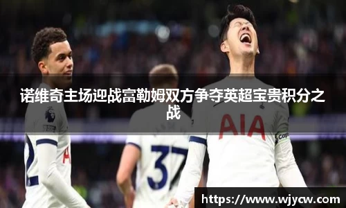 诺维奇主场迎战富勒姆双方争夺英超宝贵积分之战