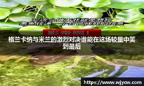 bwin必赢国际
